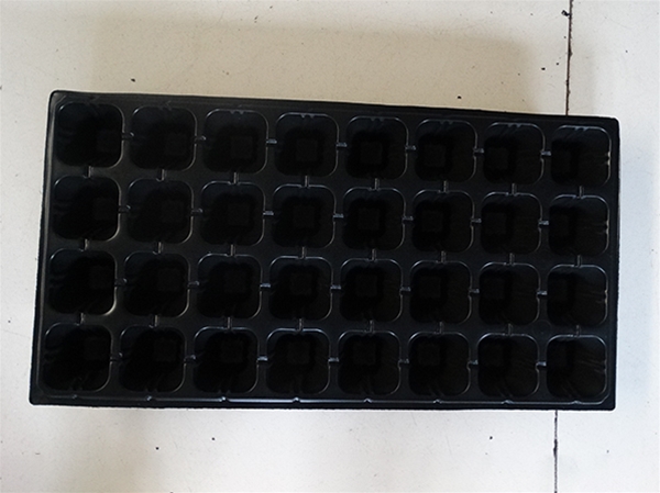育苗托盤(pán)
