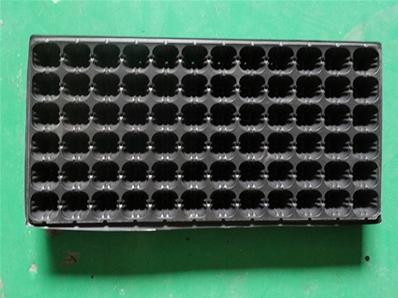 育苗托盤